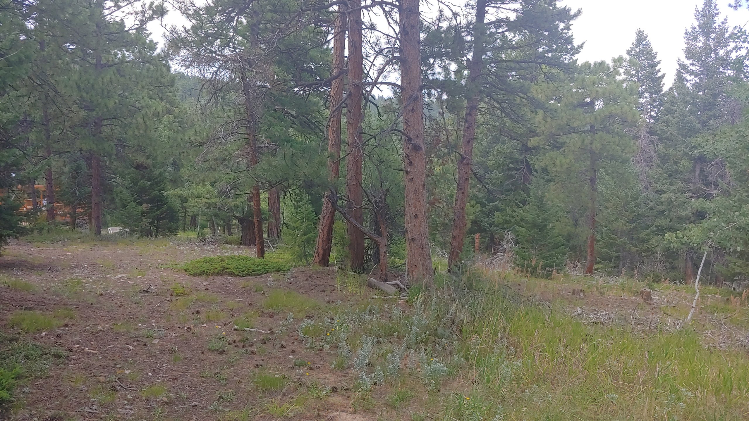 Parking, Garages And Car Spaces For Rent 12 x 30 Unpaved Lot 204054